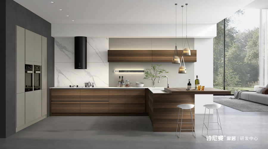 SN21-KC005 Kitchen Cabinet