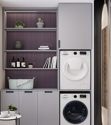 SN21-WHM005 Whole House Solution