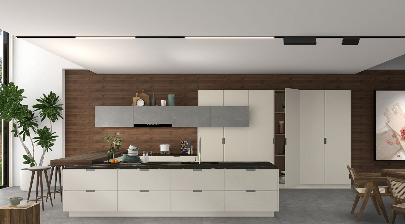 SN21-WHM006 Whole House Solution