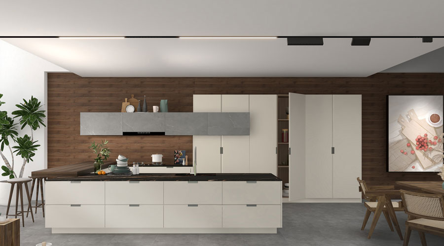 SN21-KC010 Kitchen Cabinet